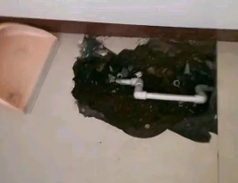 伍家岗卫生间测漏水多少钱